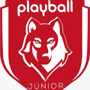 Escudo da equipe Playball Junior - Sub 15
