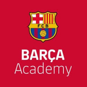 Escudo da equipe Bara Academy SP - Sub 15