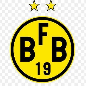 Escudo da equipe Borussia FB - Sub 17
